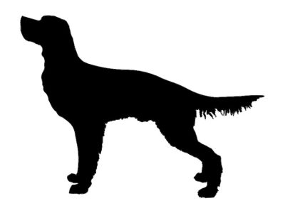 图纸封面-狩猎犬