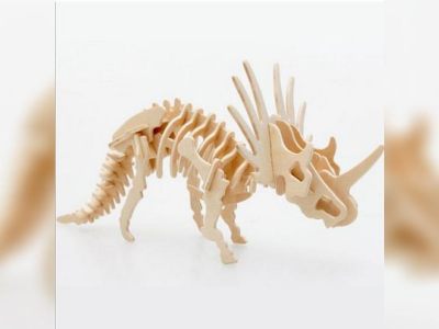 图纸封面-三角龙 dxf 文件