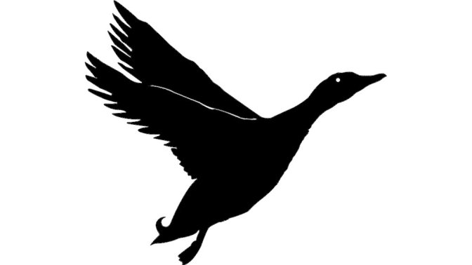 预览小图 1