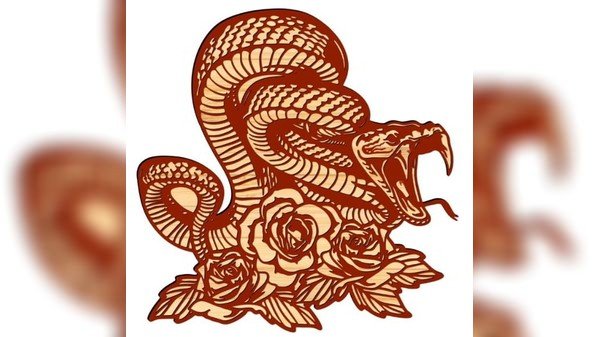 当前预览图 1