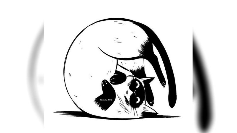 当前预览图 1