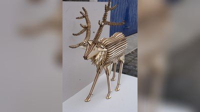 当前预览图 1