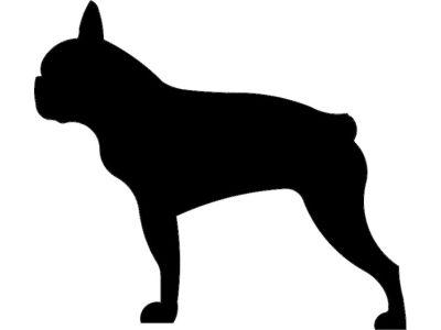图纸封面-斗牛犬