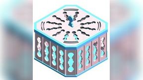 预览小图 1
