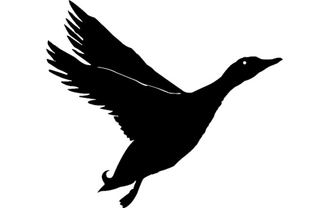 预览小图 2