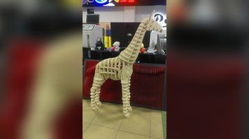 当前预览图 1