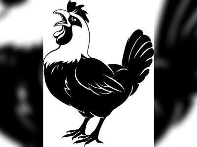 图纸封面-公鸡