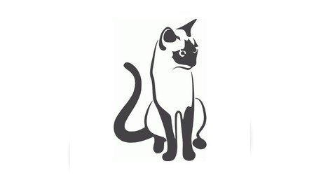 当前预览图 1