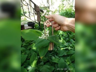 图纸封面-带手柄的木制篮子 挂花盒 激光切割 CDR 文件