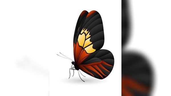 预览小图 1