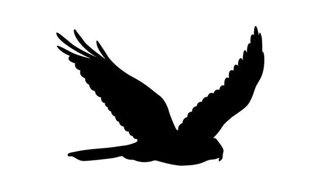 预览小图 1