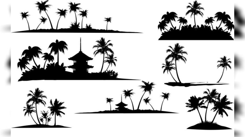 当前预览图 1