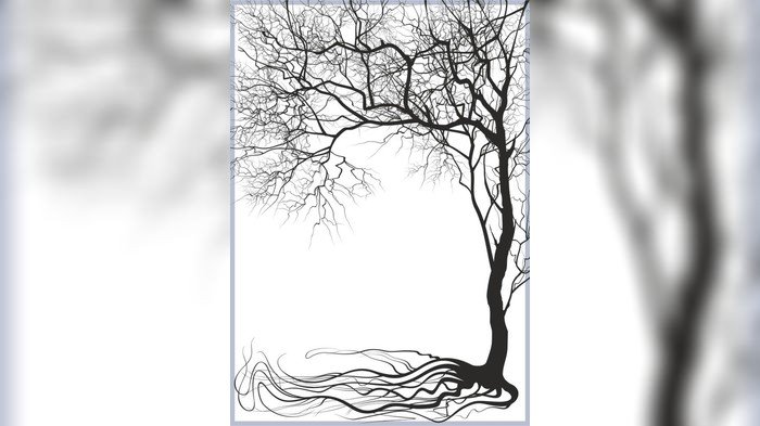 当前预览图 1