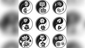 当前预览图 1