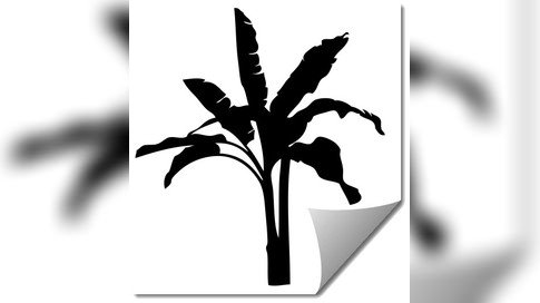 预览小图 1