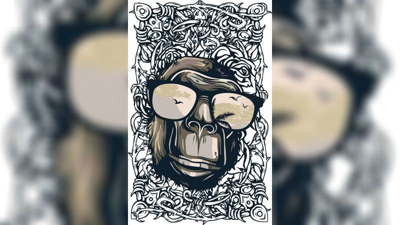 当前预览图 1