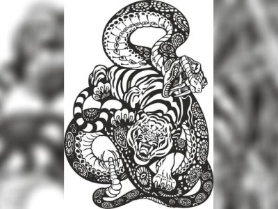 图纸封面-蛇与虎的搏斗