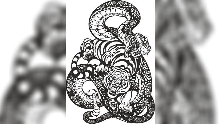 当前预览图 1