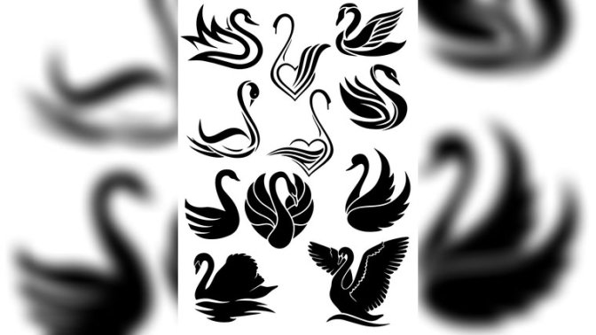 预览小图 1