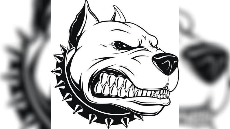 当前预览图 1