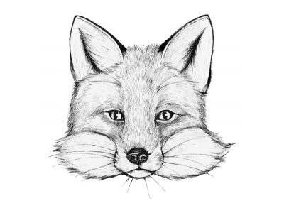 图纸封面-手绘狐狸插画装饰艺术