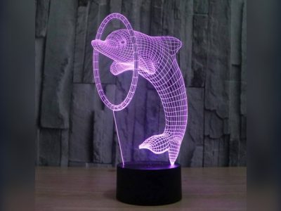 图纸封面-海豚钻圈3D幻影灯