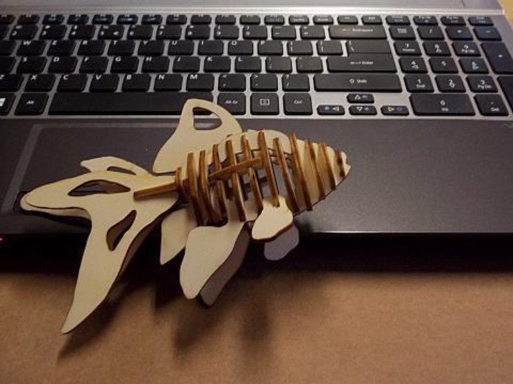 当前预览图 1