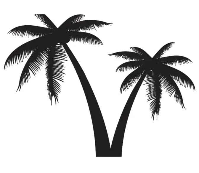 预览小图 2